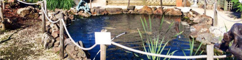 Comment créer un bassin de jardin?